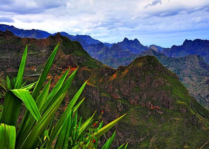 Weed in Santo Antão