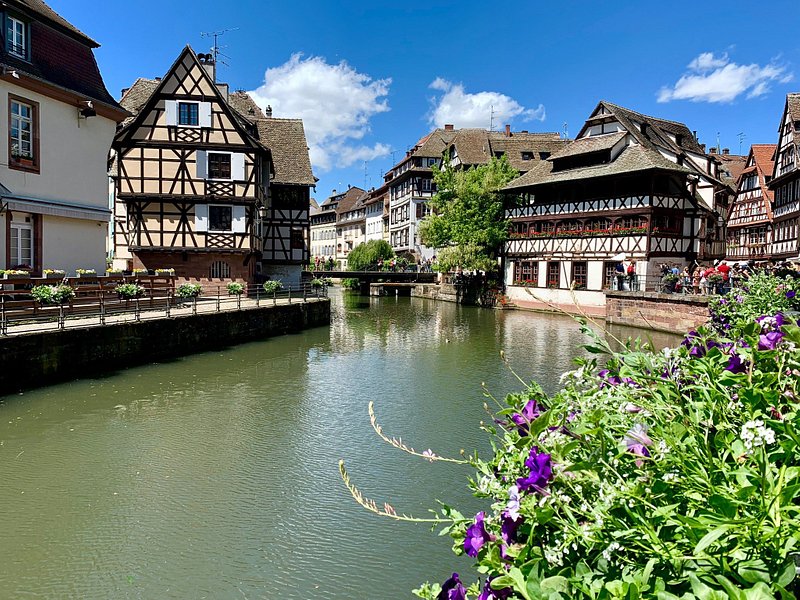 Weed in Strasbourg